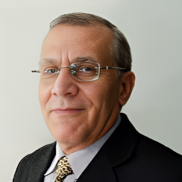 Khaled E. A. Negm